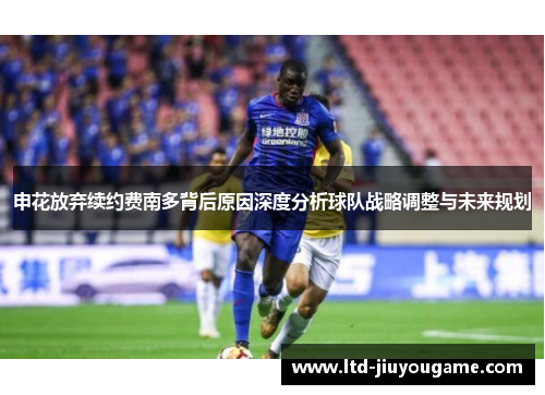 申花放弃续约费南多背后原因深度分析球队战略调整与未来规划