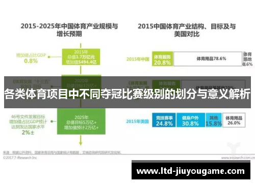 各类体育项目中不同夺冠比赛级别的划分与意义解析